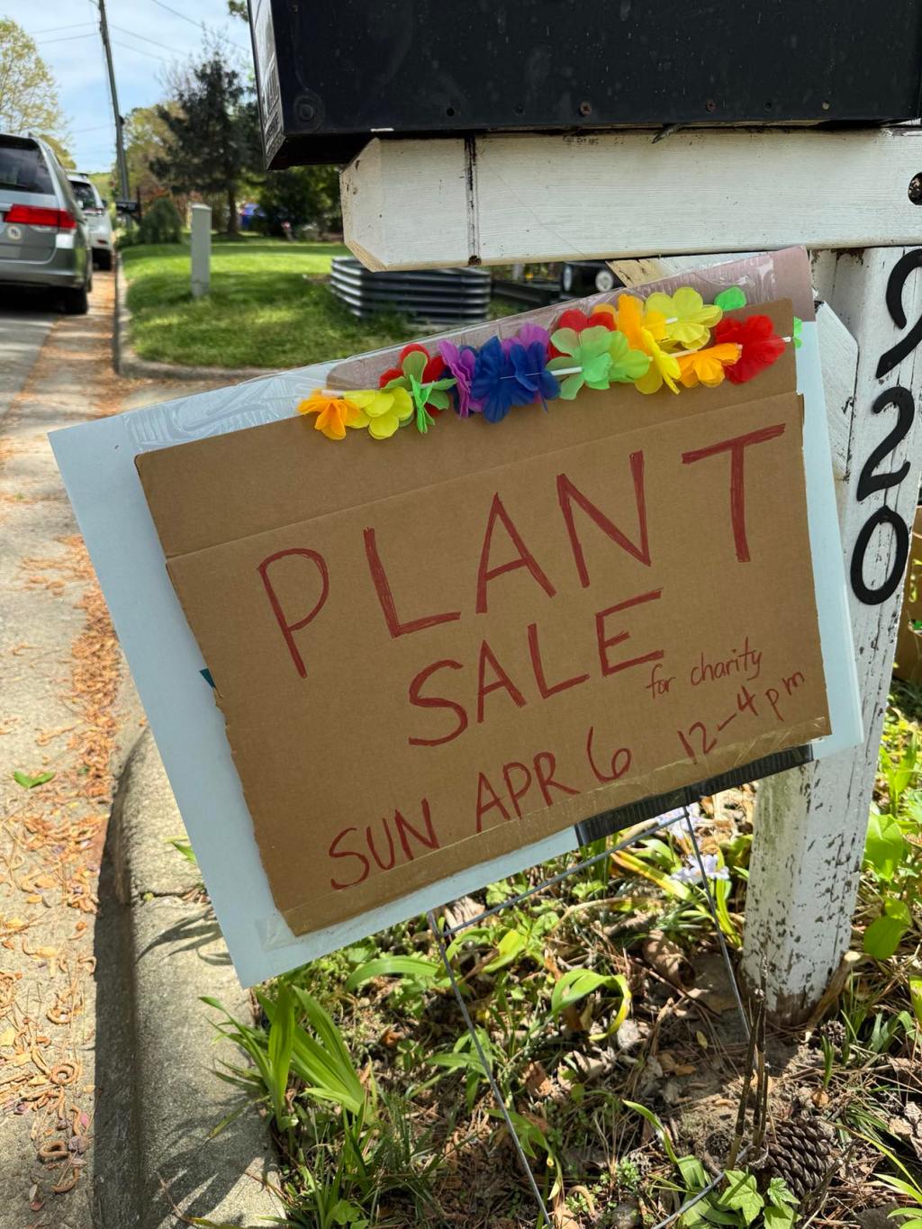 Thank You for a Wonderful Plant Sale – We Raised Over&nbsp;$600!